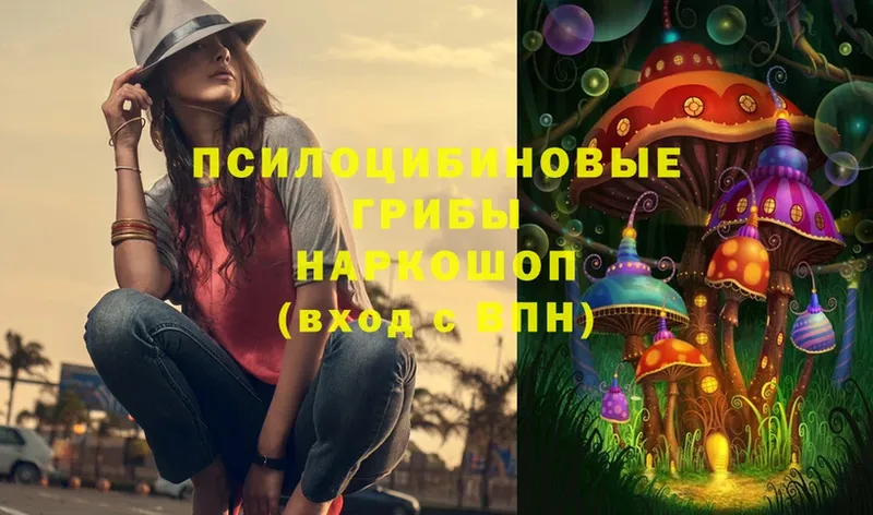 Псилоцибиновые грибы Magic Shrooms  Воткинск 